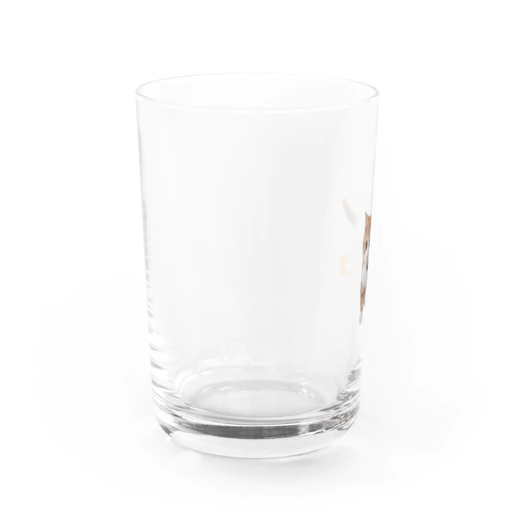 ★もみじちゃん★SHOPの★もみじちゃん★ Water Glass :left