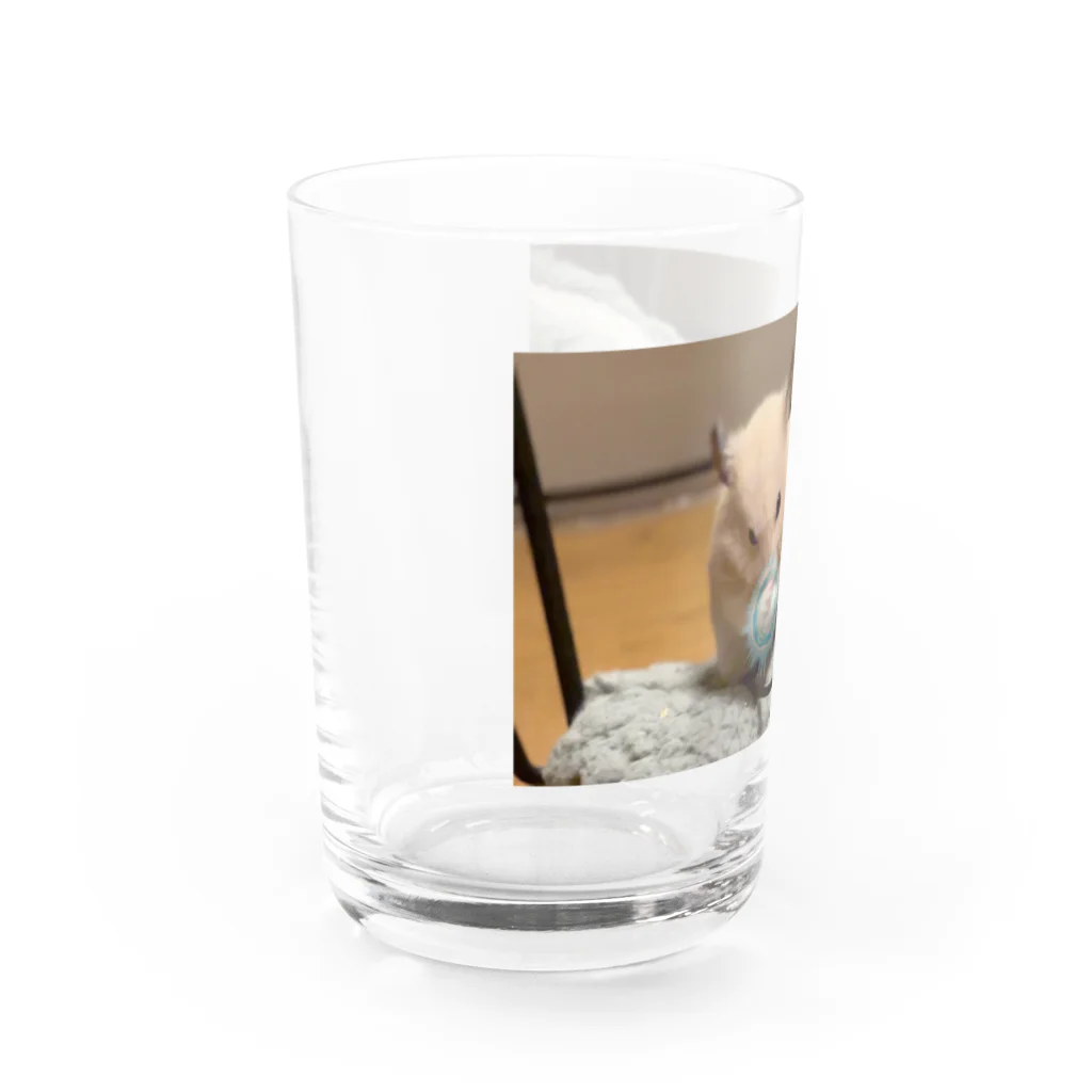 nyanta2020のはむはむはああぁぁーーー！！！ Water Glass :left