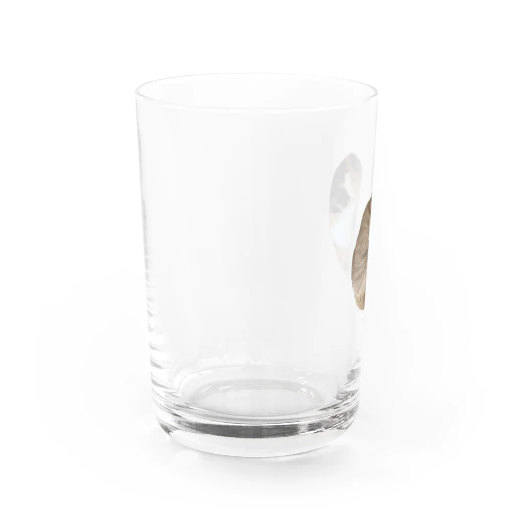 MASHのおかちまるグラス Water Glass :left