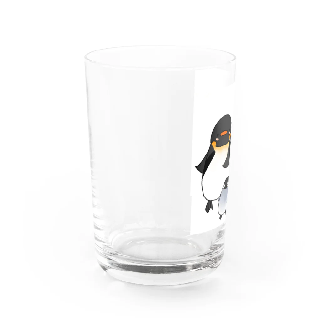 Ackreiのこうていペンギン　おうさまペンギン グラス左面