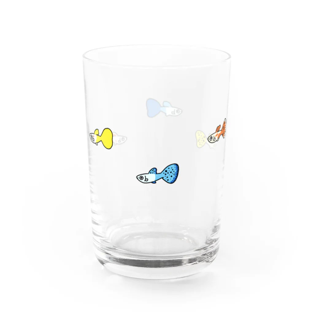 よなよなこうもりのグッピー Water Glass :left