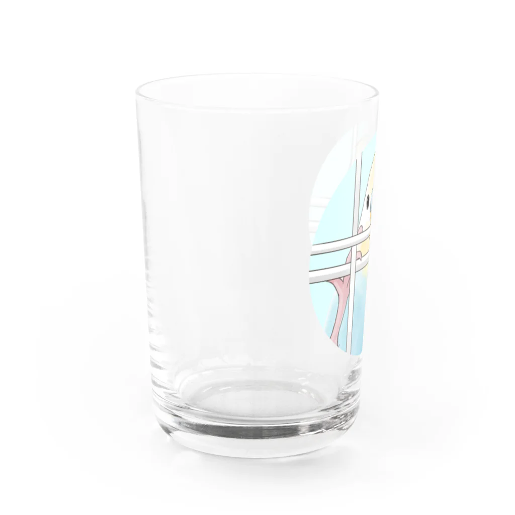 まめるりはことりの可愛いのぞき見セキセイインコちゃん【まめるりはことり】 Water Glass :left