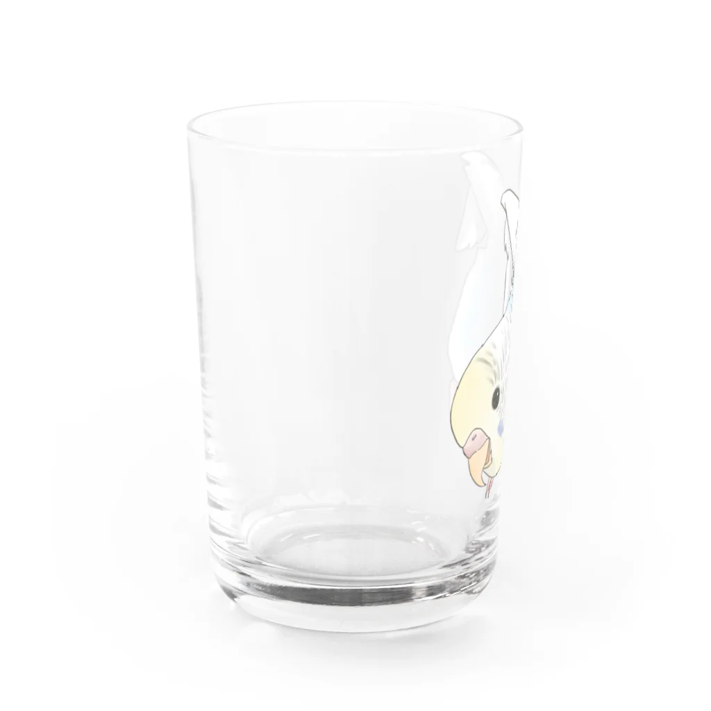 まめるりはことりのご機嫌羽セキセイインコちゃん【まめるりはことり】 Water Glass :left