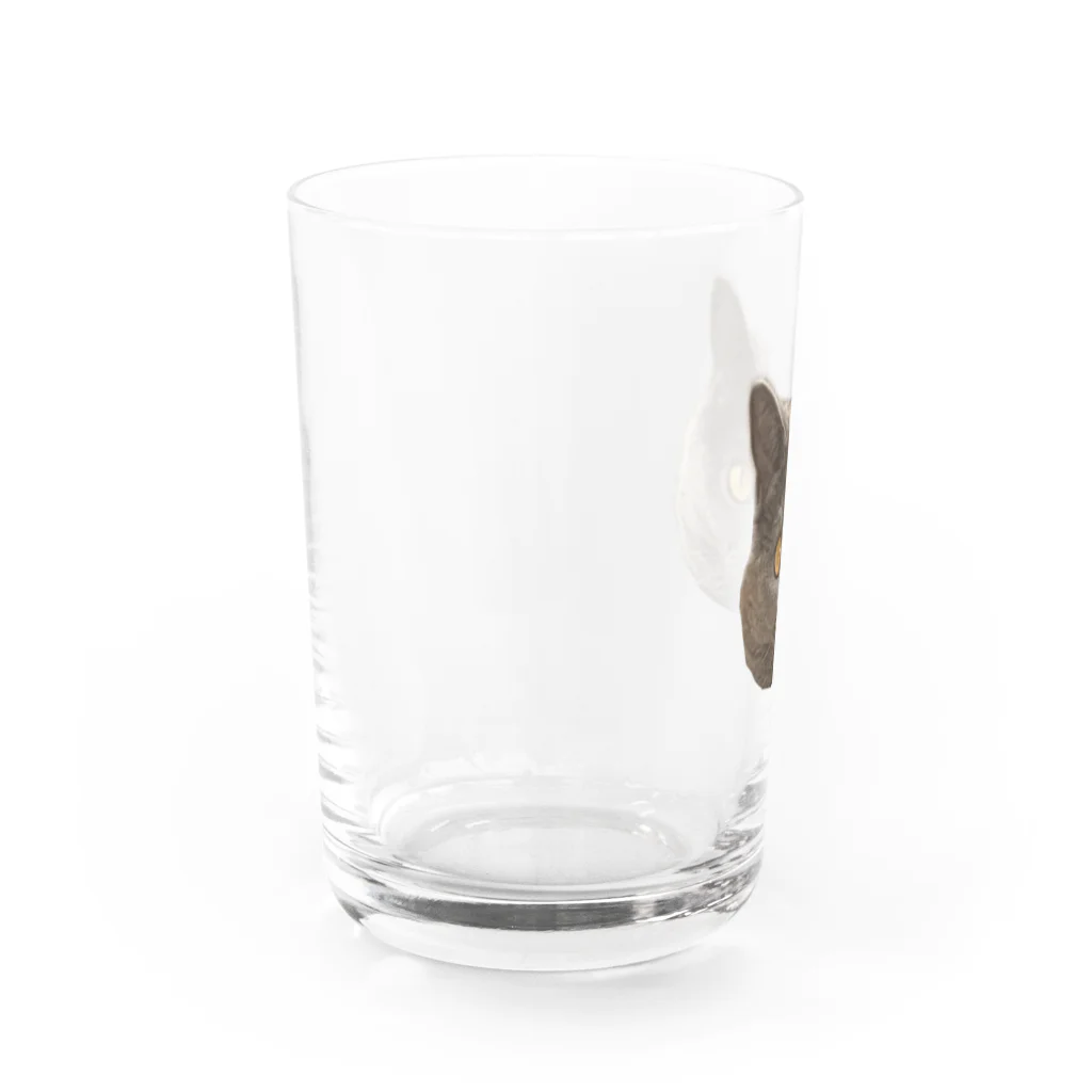 まっかっけいこ@LINEスタンプ販売中のお顔アップもあたん Water Glass :left