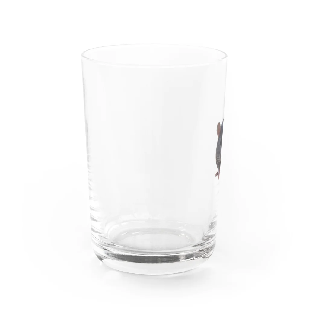 おこげのおすわりおこげ Water Glass :left