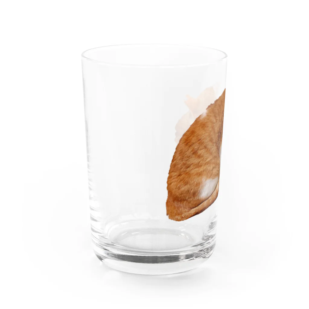 かぶとちょものかぶとちょも　いちゃいちゃver Water Glass :left