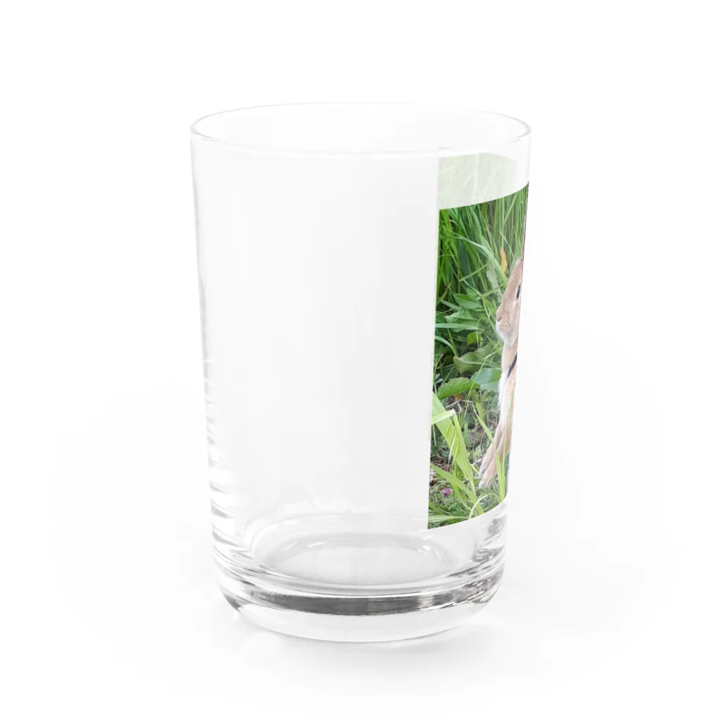 海賊親分とうさぎのお散歩ship Water Glass :left