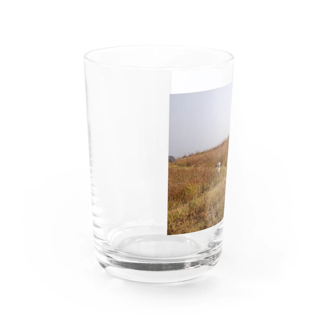 ルー・ルーニのアメコカのルーちゃん Water Glass :left