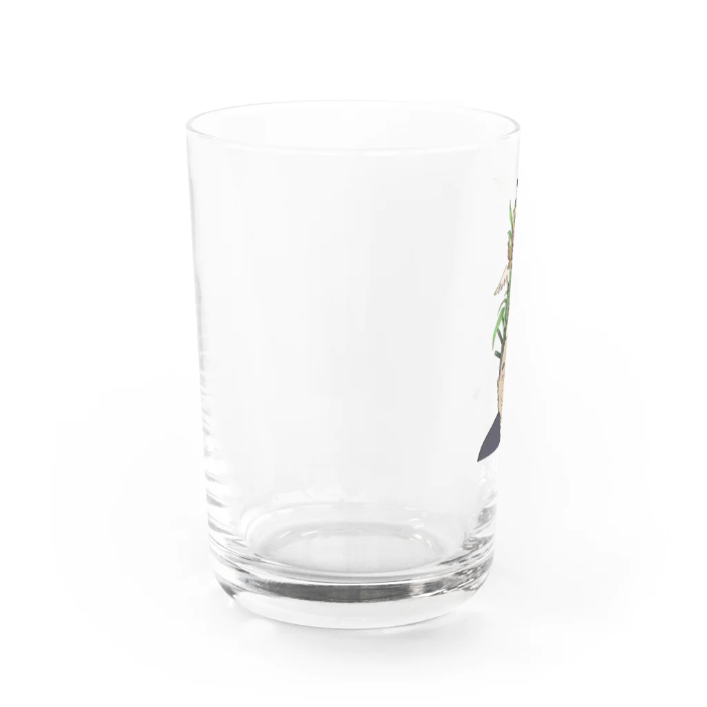 Bhen Boxのまげ盛りの翁　白Ver Water Glass :left