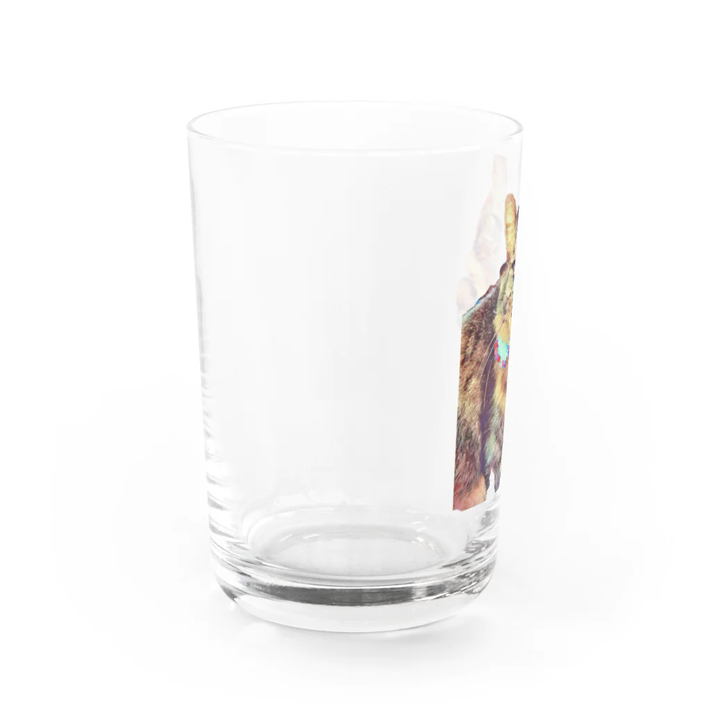 GreenLifezの猫の月見ちゃん Water Glass :left