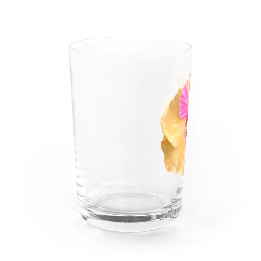 ぺたちきのハイビー Water Glass :left