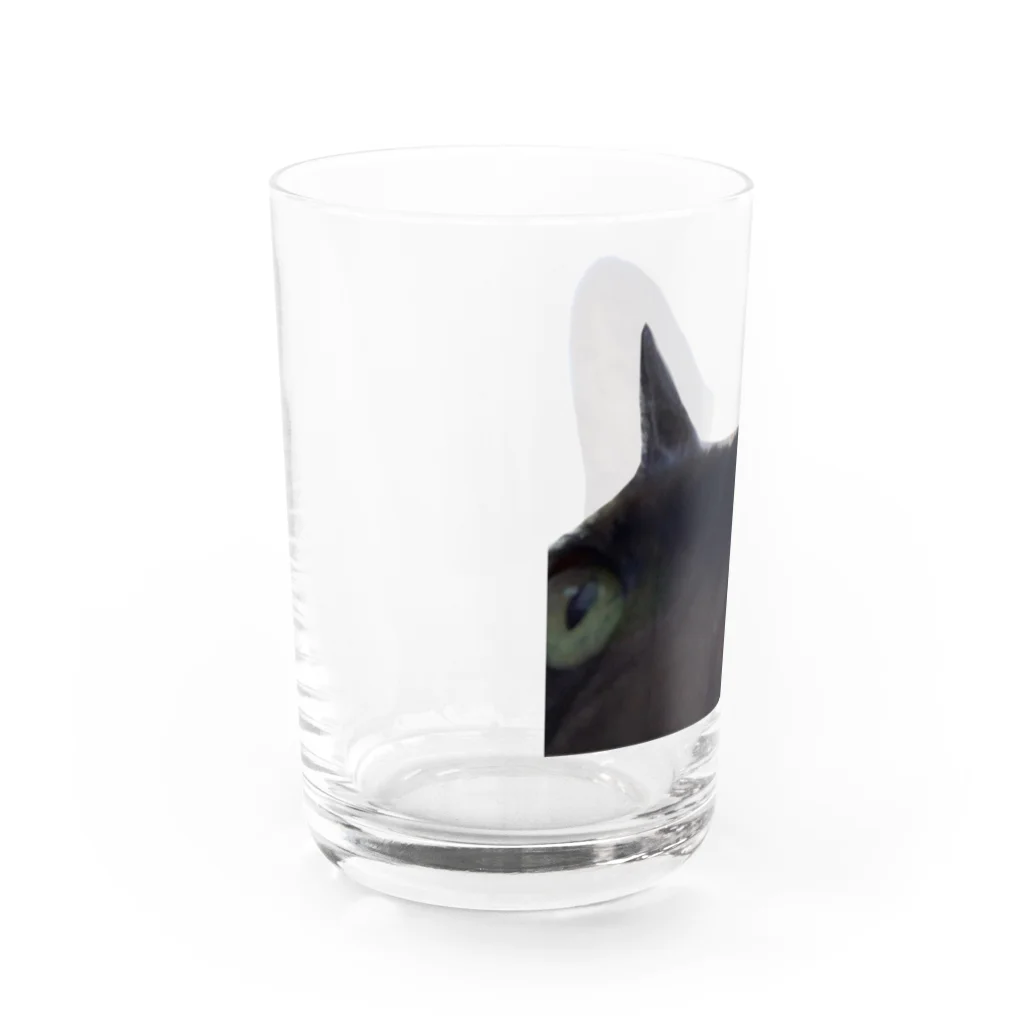 nya nya*のドアップねこ Water Glass :left