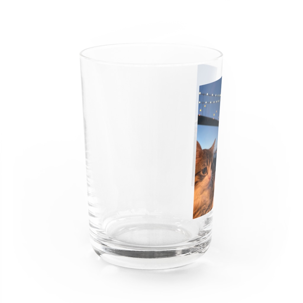 たびねこ蜜柑のたびねこ蜜柑・白鳥大橋 Water Glass :left