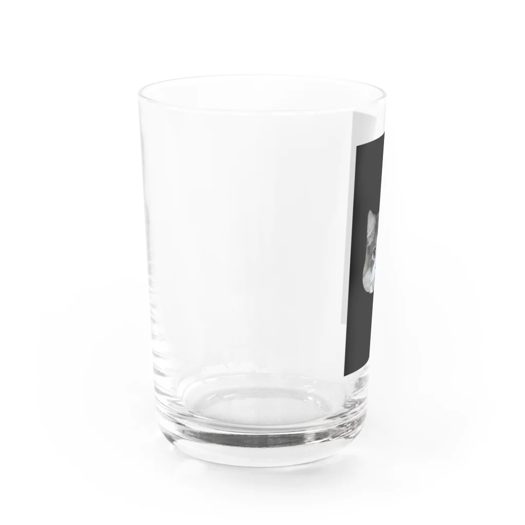 Timmy chan の猫の鳩胸 Water Glass :left