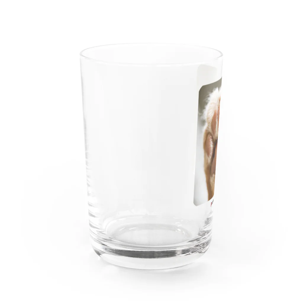 paweyetailのその手 Water Glass :left