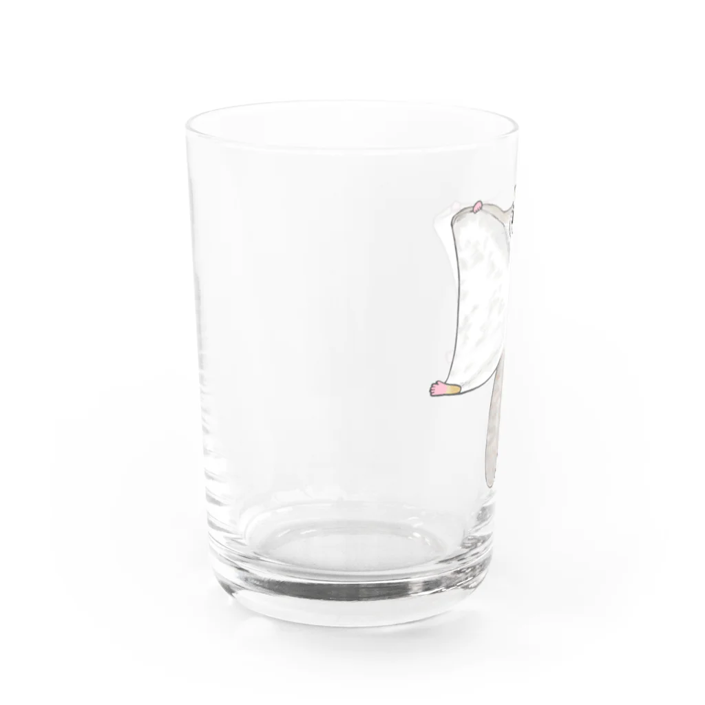 LalaHangeulのエゾモモンガさんドーン！ Water Glass :left
