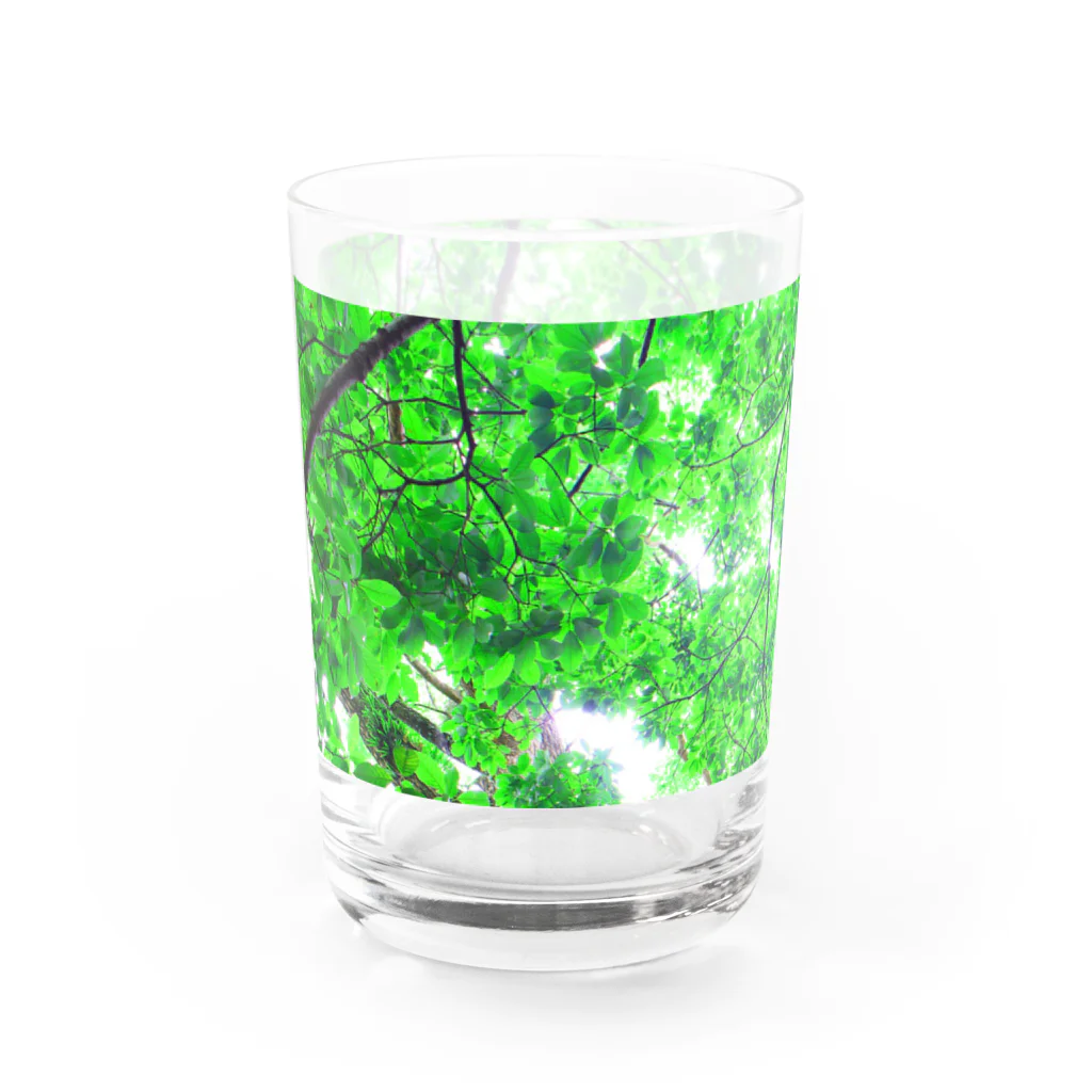 fée de la roseのVert frais Water Glass :left