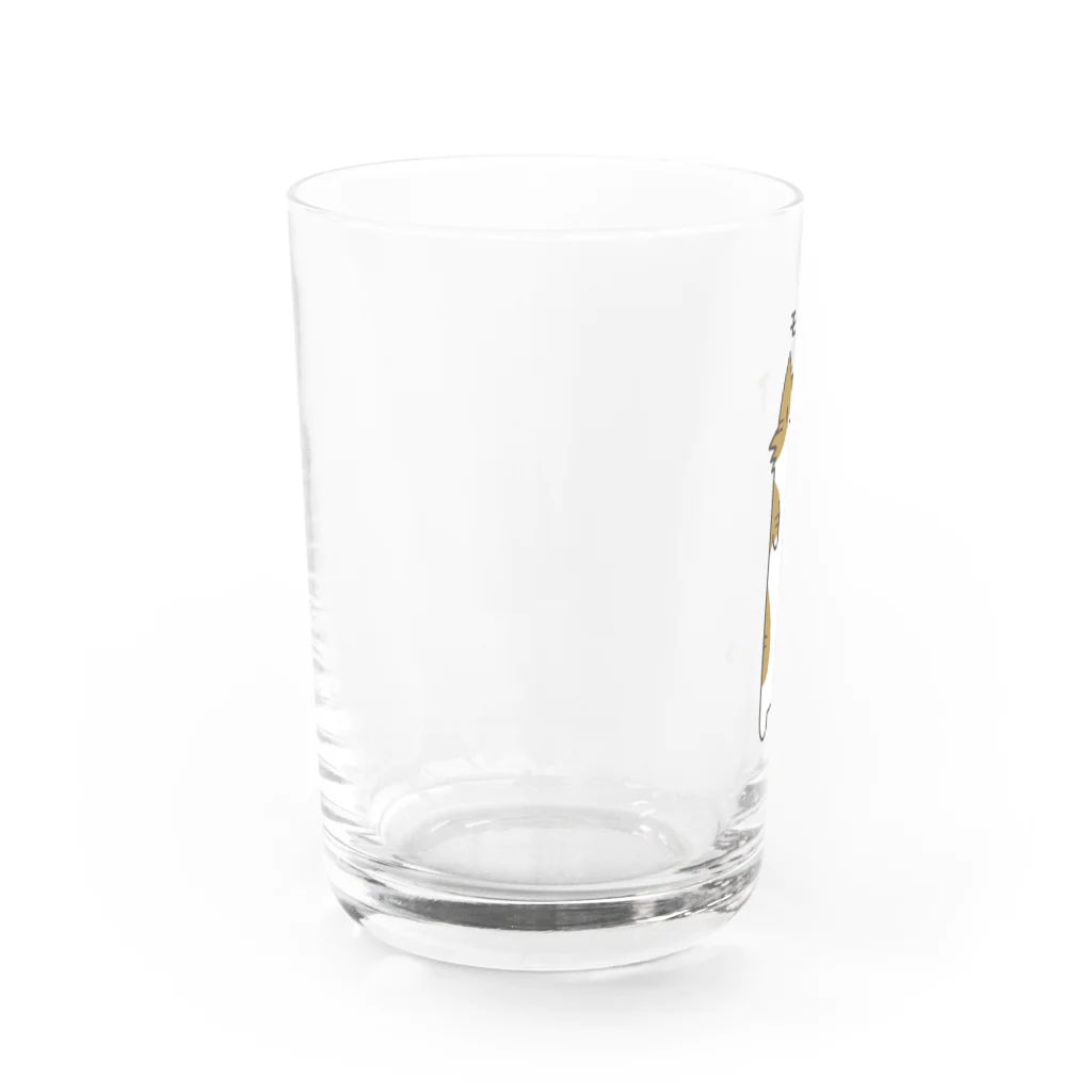 電球屋のもふ　ながいねこさん Water Glass :left