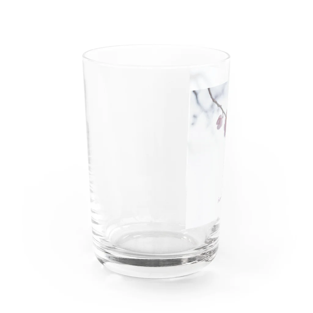 prism✳︎の"humming" Water Glass :left