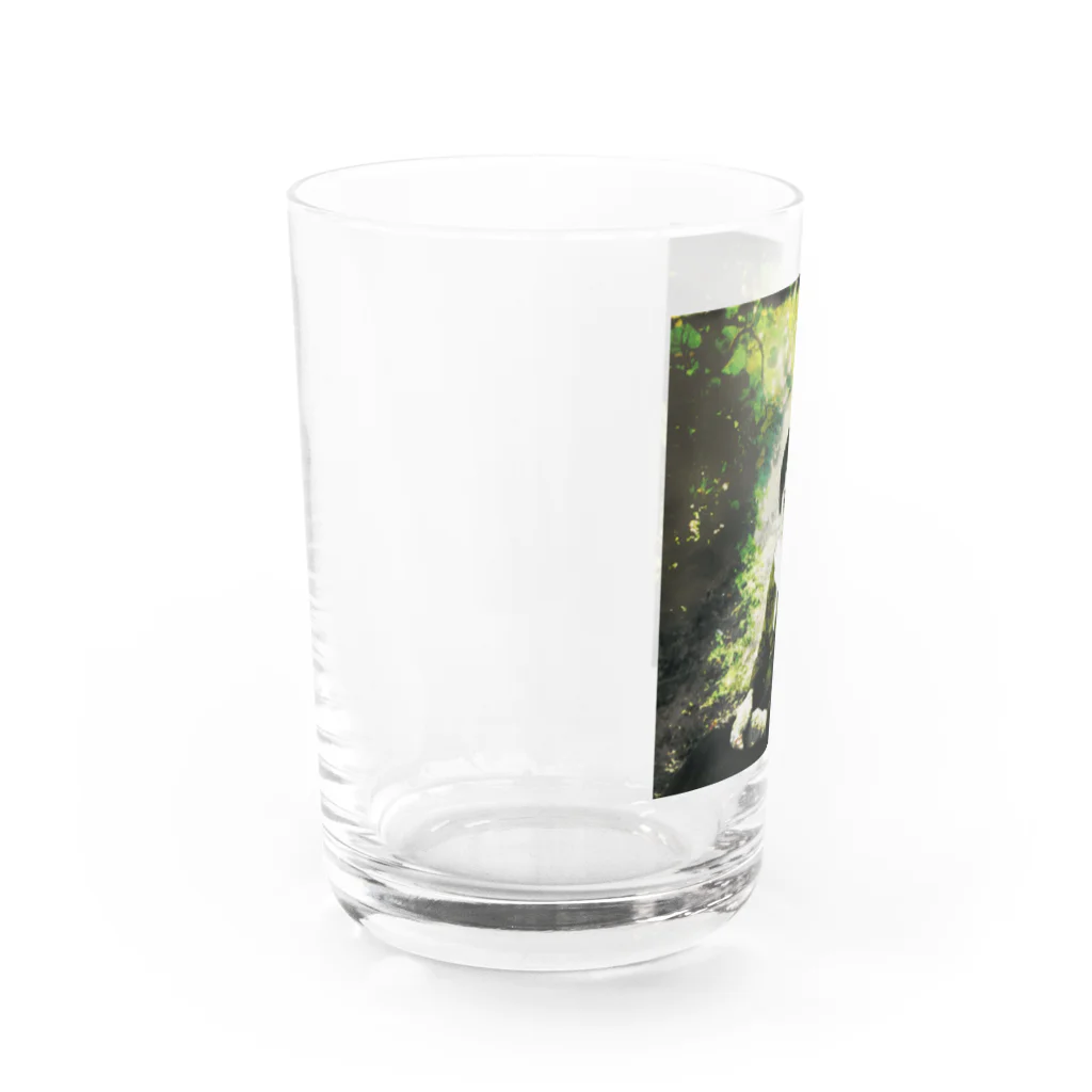 迷建築でお風呂の昭和女子図鑑 Water Glass :left