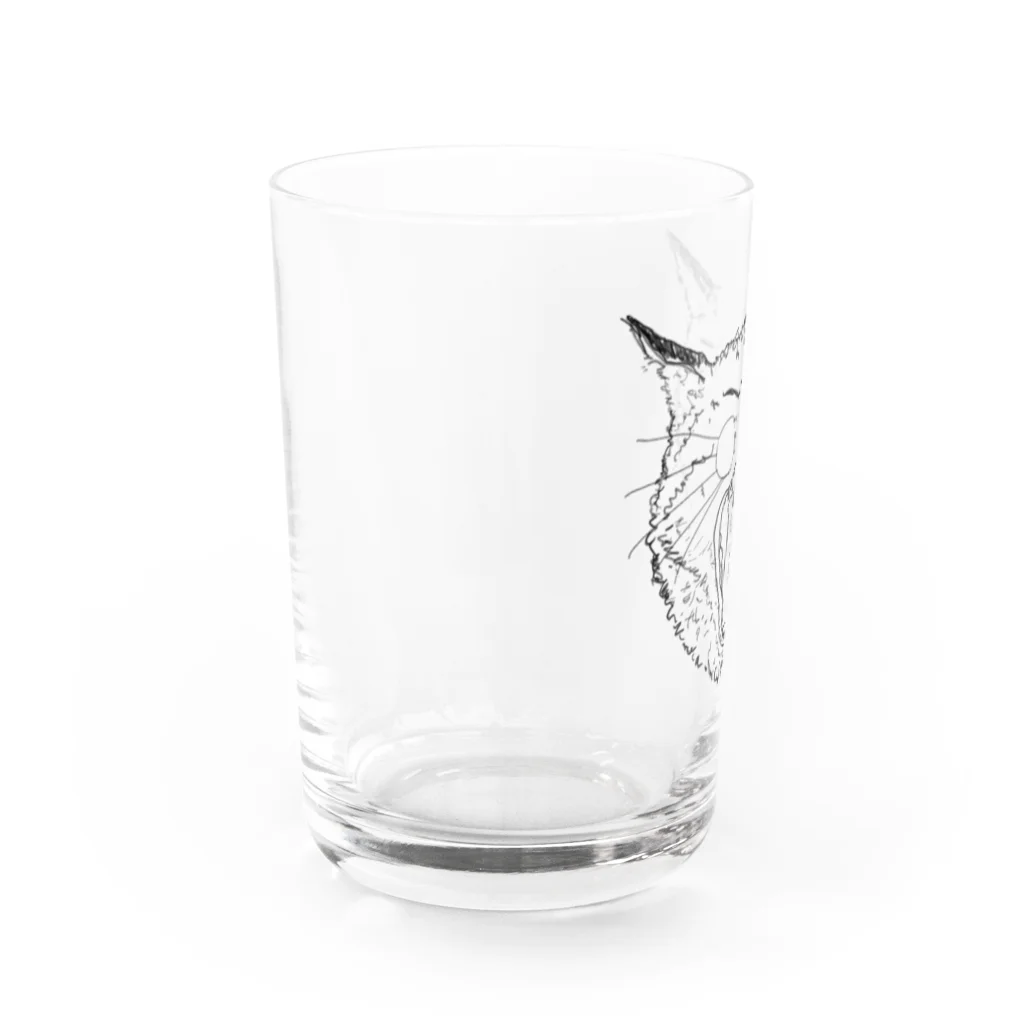 スナック半ばをすぎての欠伸ネコ Water Glass :left