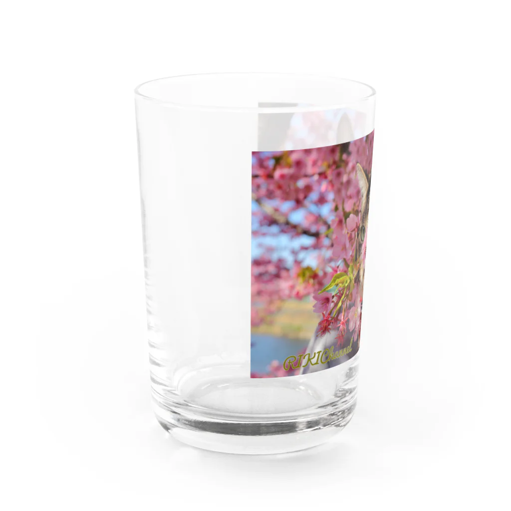 RIKICHANNEL OFFICIAL SHOPのリキちゃんと桜のおはな グラス左面