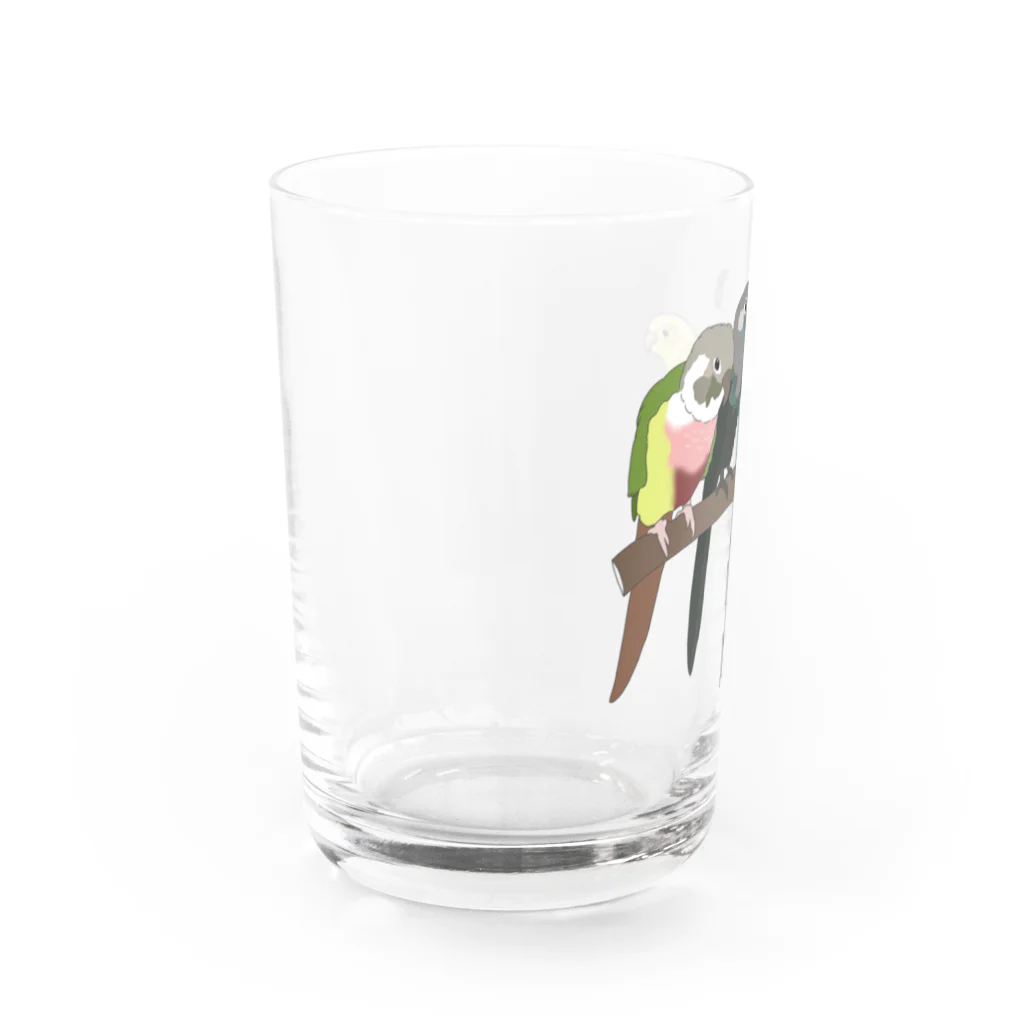 masumi maedaの寄り添う　ウロコインコ　 Water Glass :left