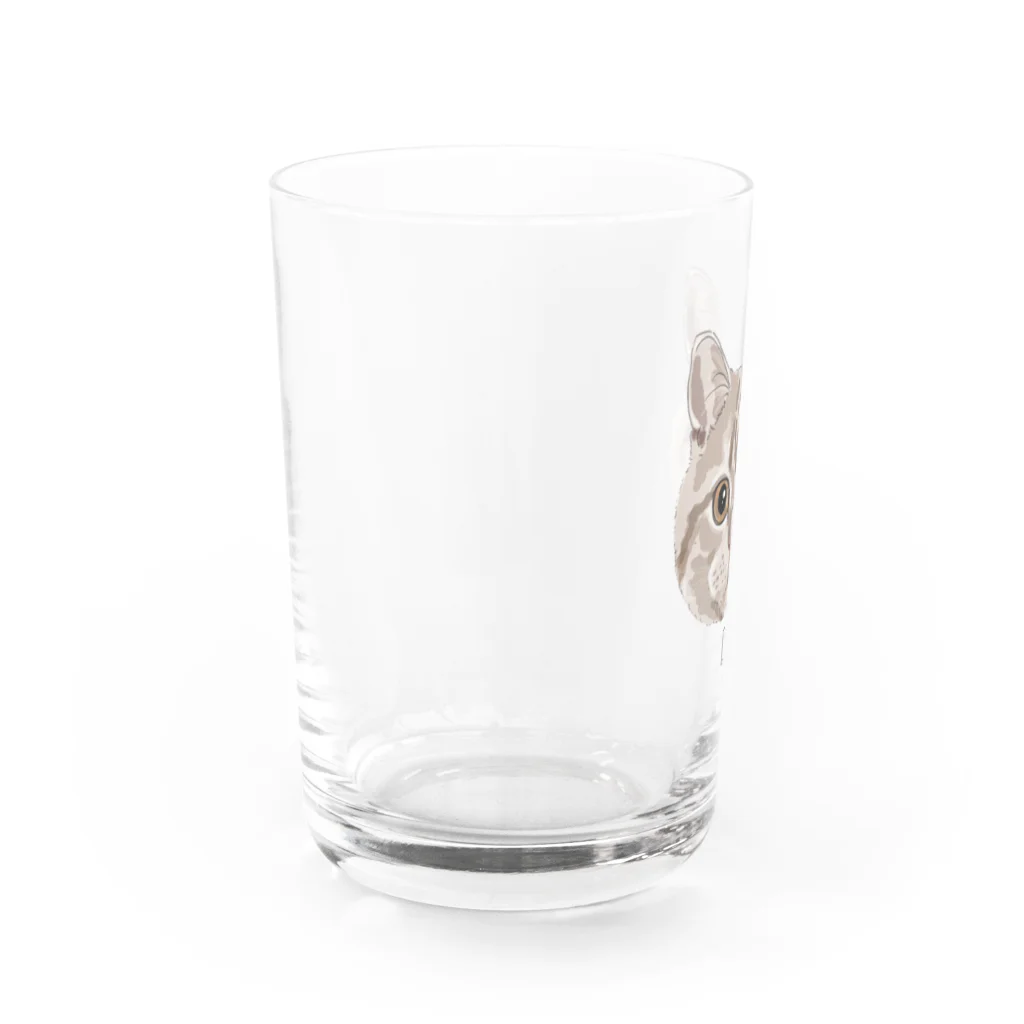 みきぞーん｜保護猫 ミッキー画伯と肉球とおともだちのD Water Glass :left