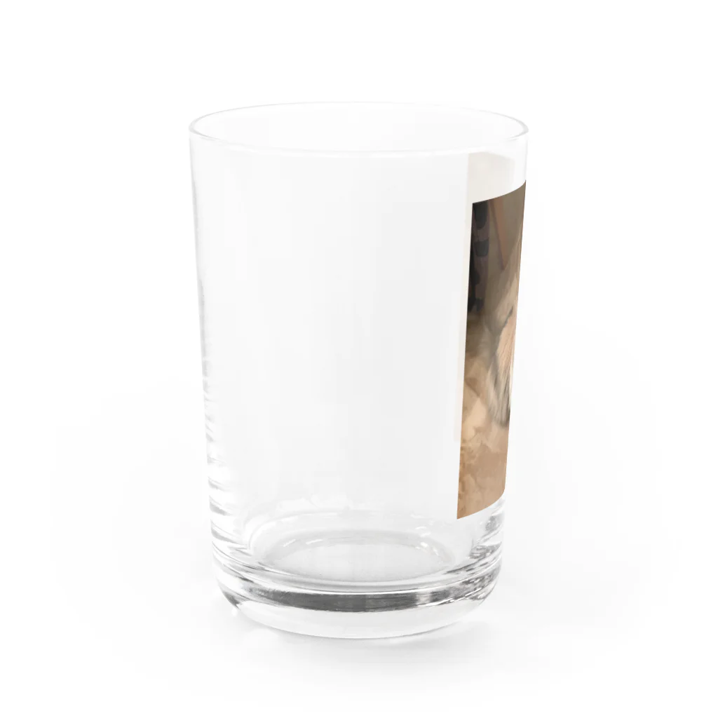 ぺーくんとイソコちゃんのかわいいたぬき Water Glass :left