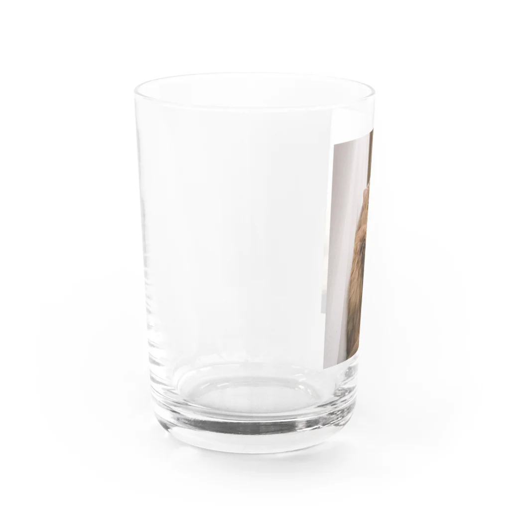 ぺーくんとイソコちゃんのかわいいふくろう Water Glass :left