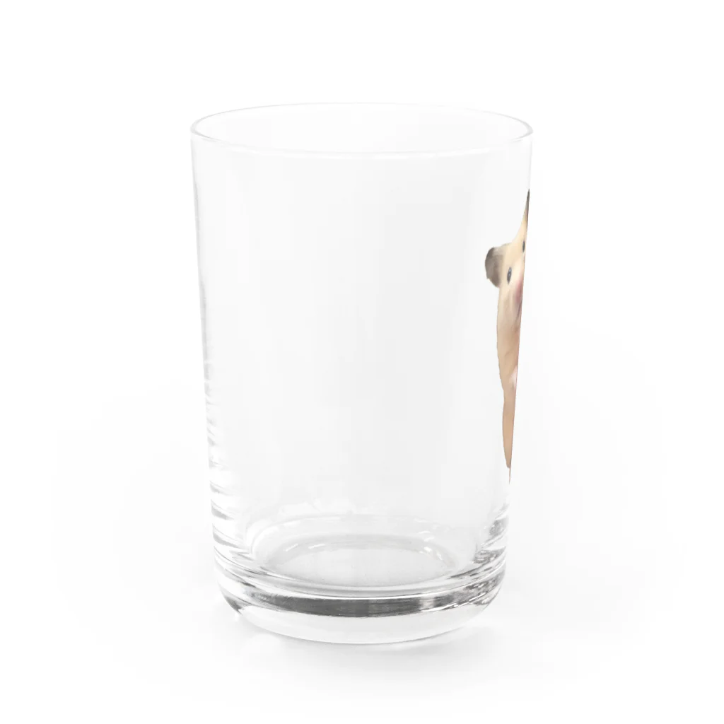 キンクマハムスターふろちゃんショップのキンクマハムスターふろちゃん Water Glass :left