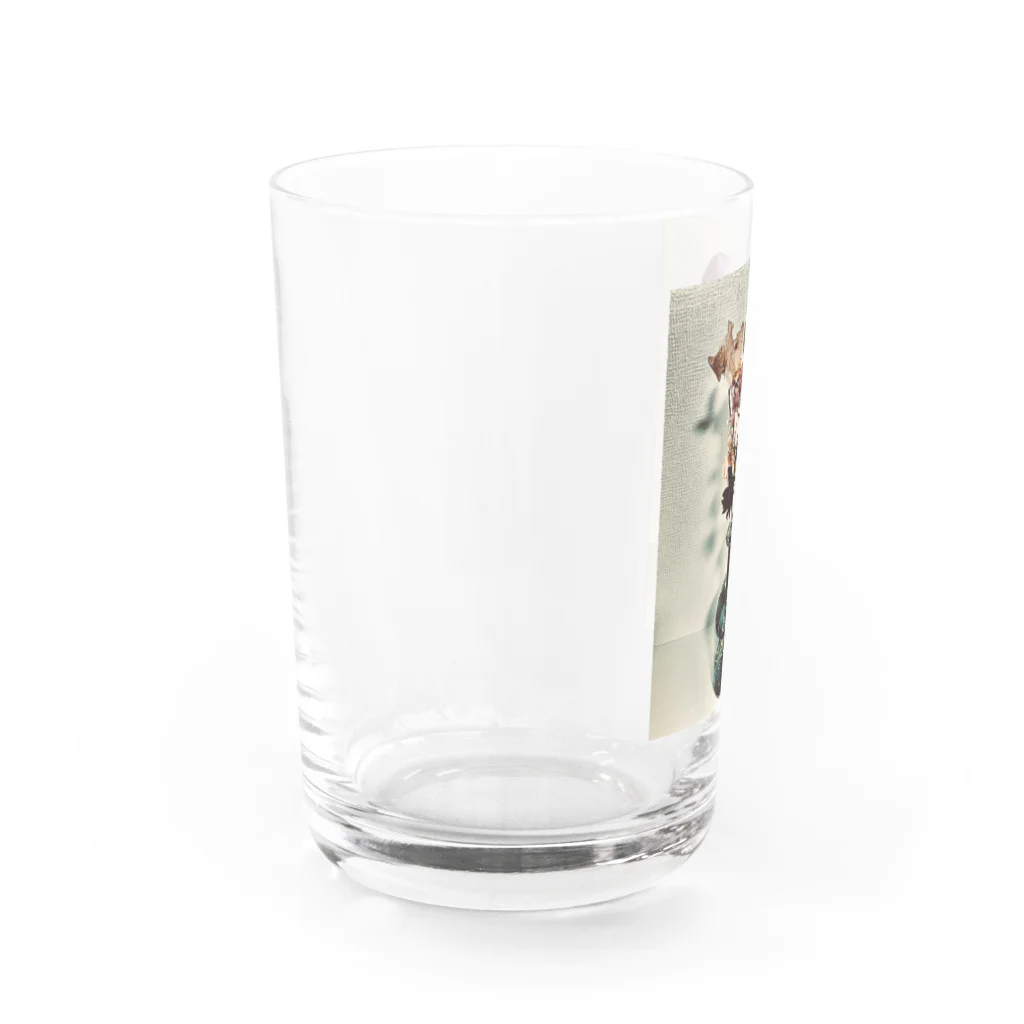 ibitsu.の花束 Water Glass :left