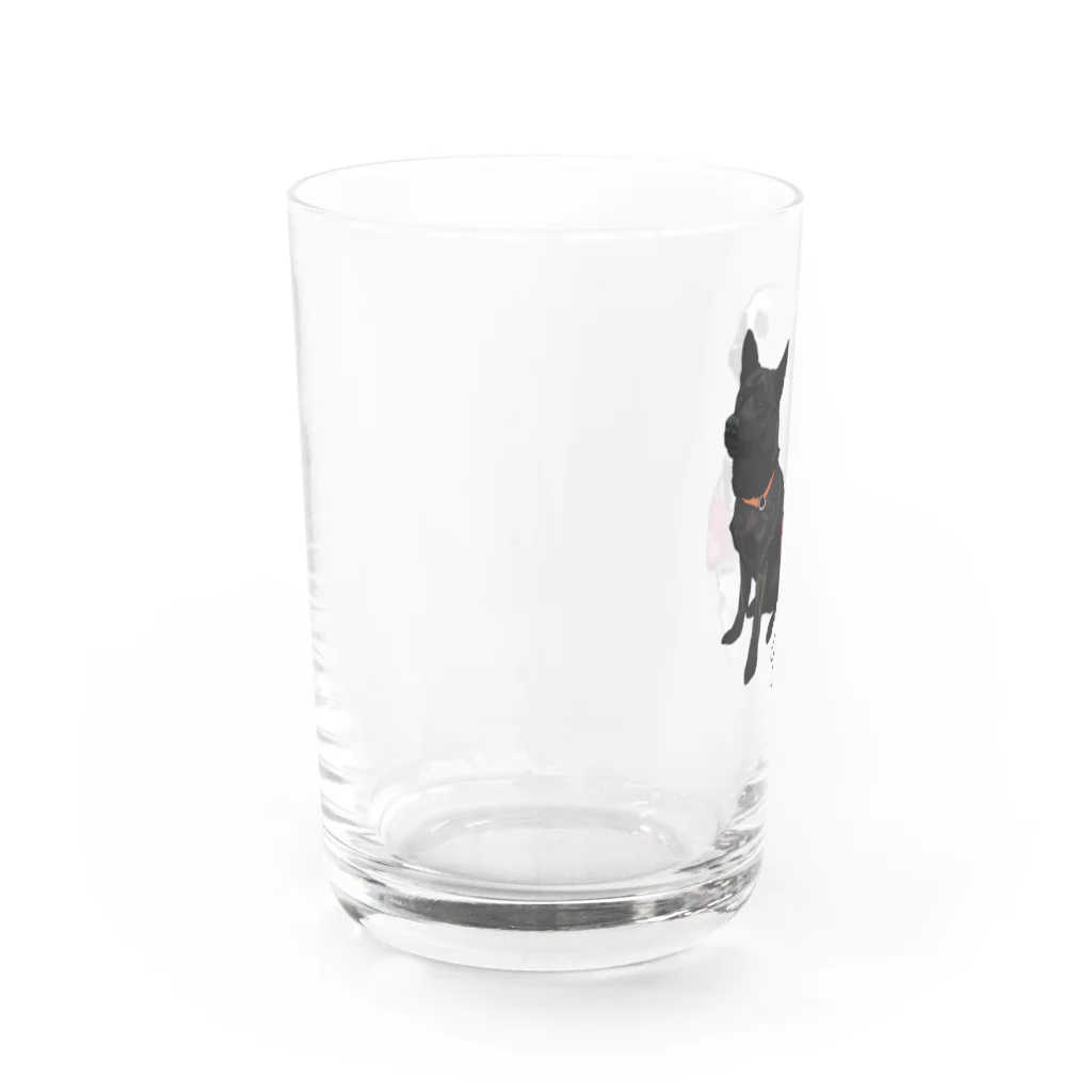 lily_dalmatianの岳花ちゃん Water Glass :left