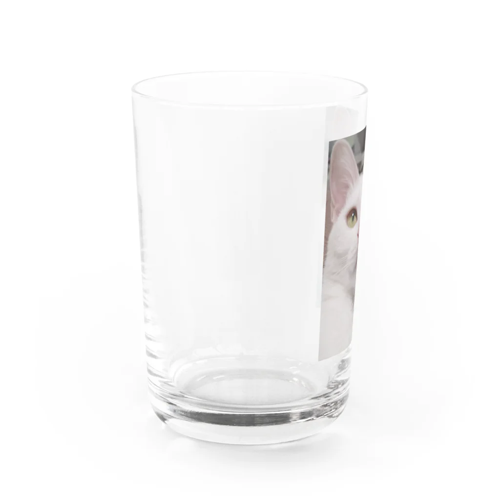 てくてくのみせのオモッチョス Water Glass :left