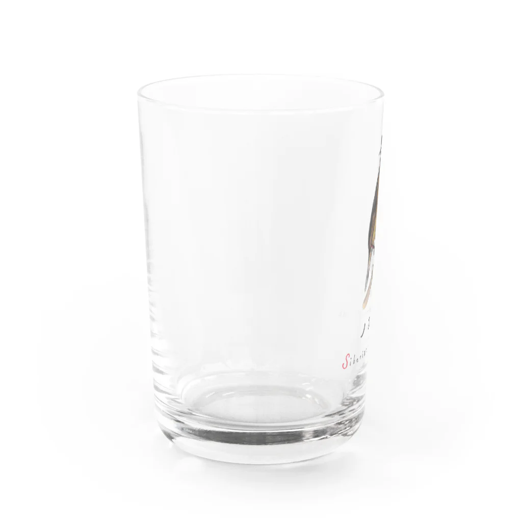 森図鑑の[森図鑑] ノゴマ Water Glass :left