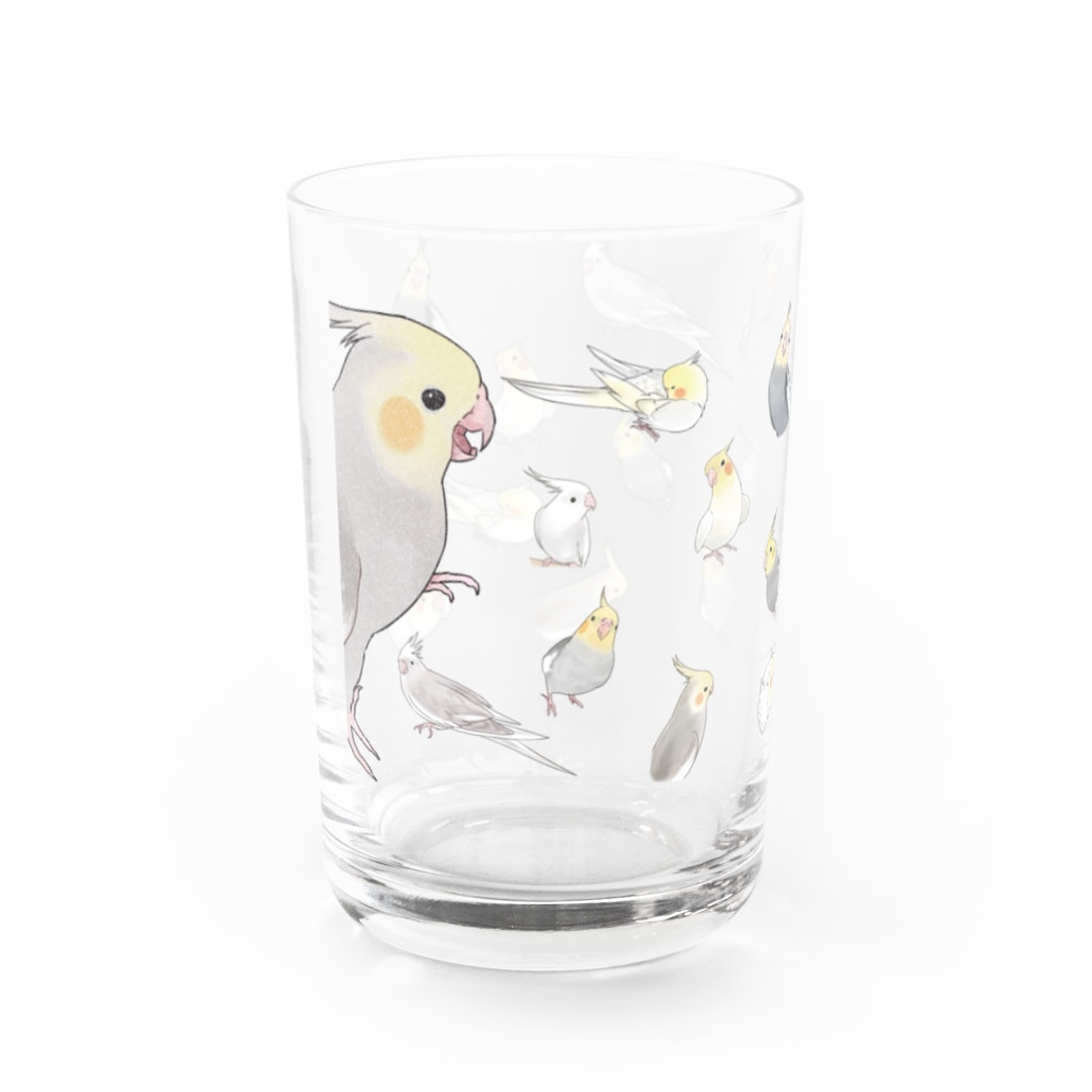まめるりはことりのあつまれオカメインコちゃん【まめるりはことり】 Water Glass :left