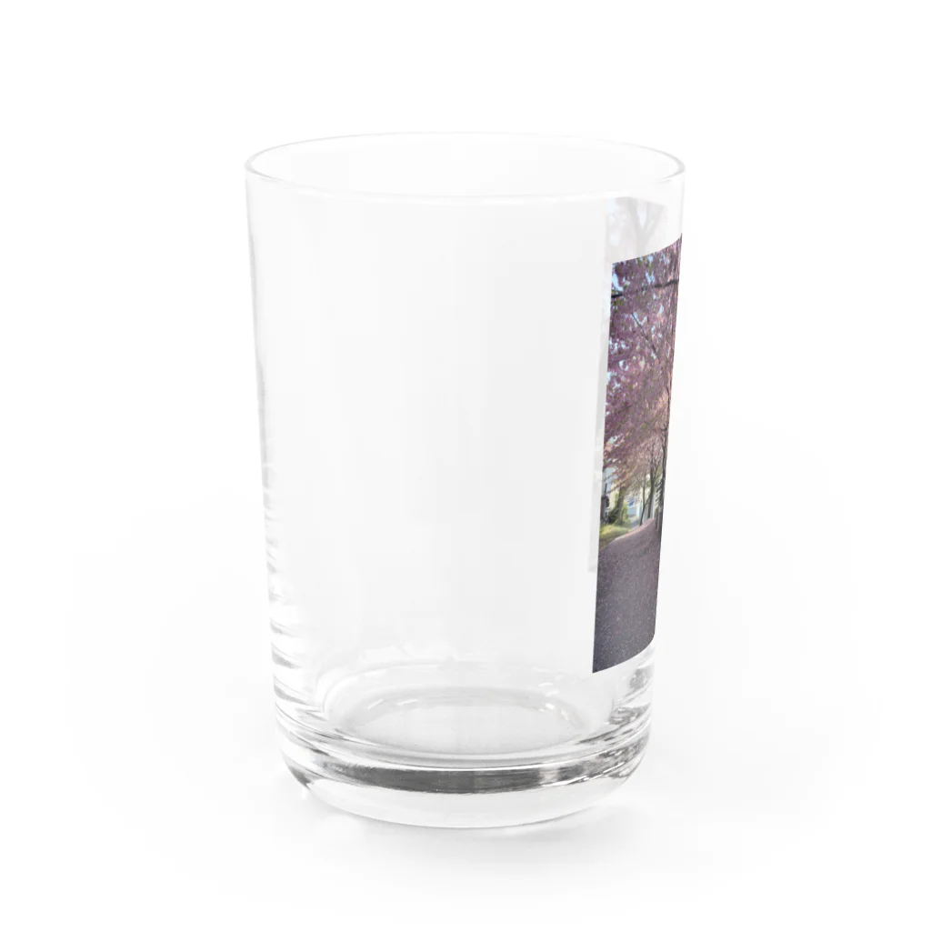 慶の桜の季節 Water Glass :left