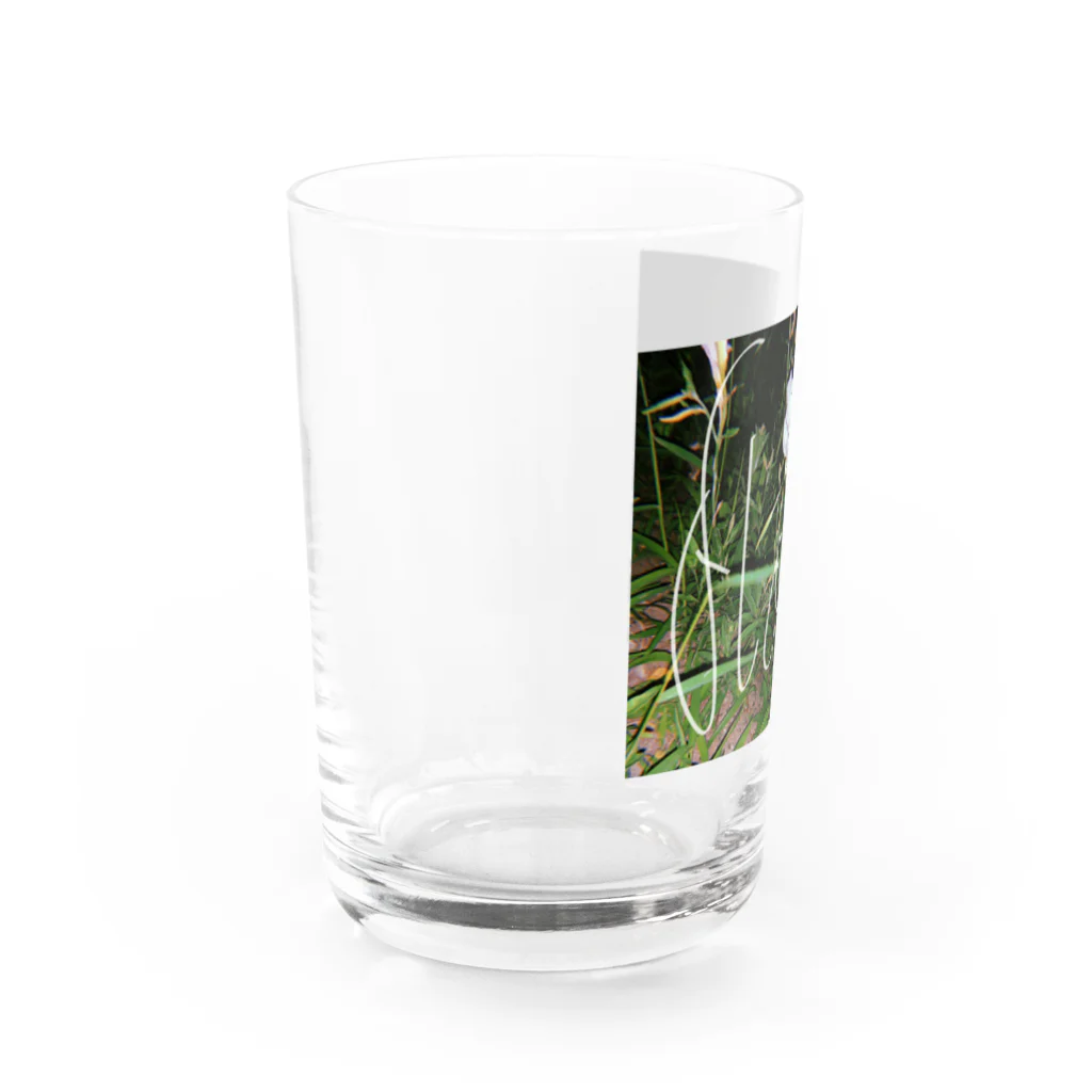 00'sの00'sのflower Water Glass :left