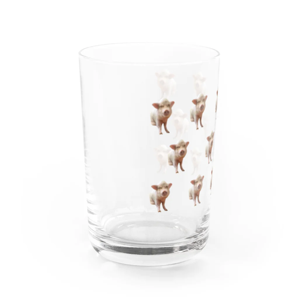 ばろめっつ　びれっじのミニブタのピィチェル大きめドット柄デザイン Water Glass :left