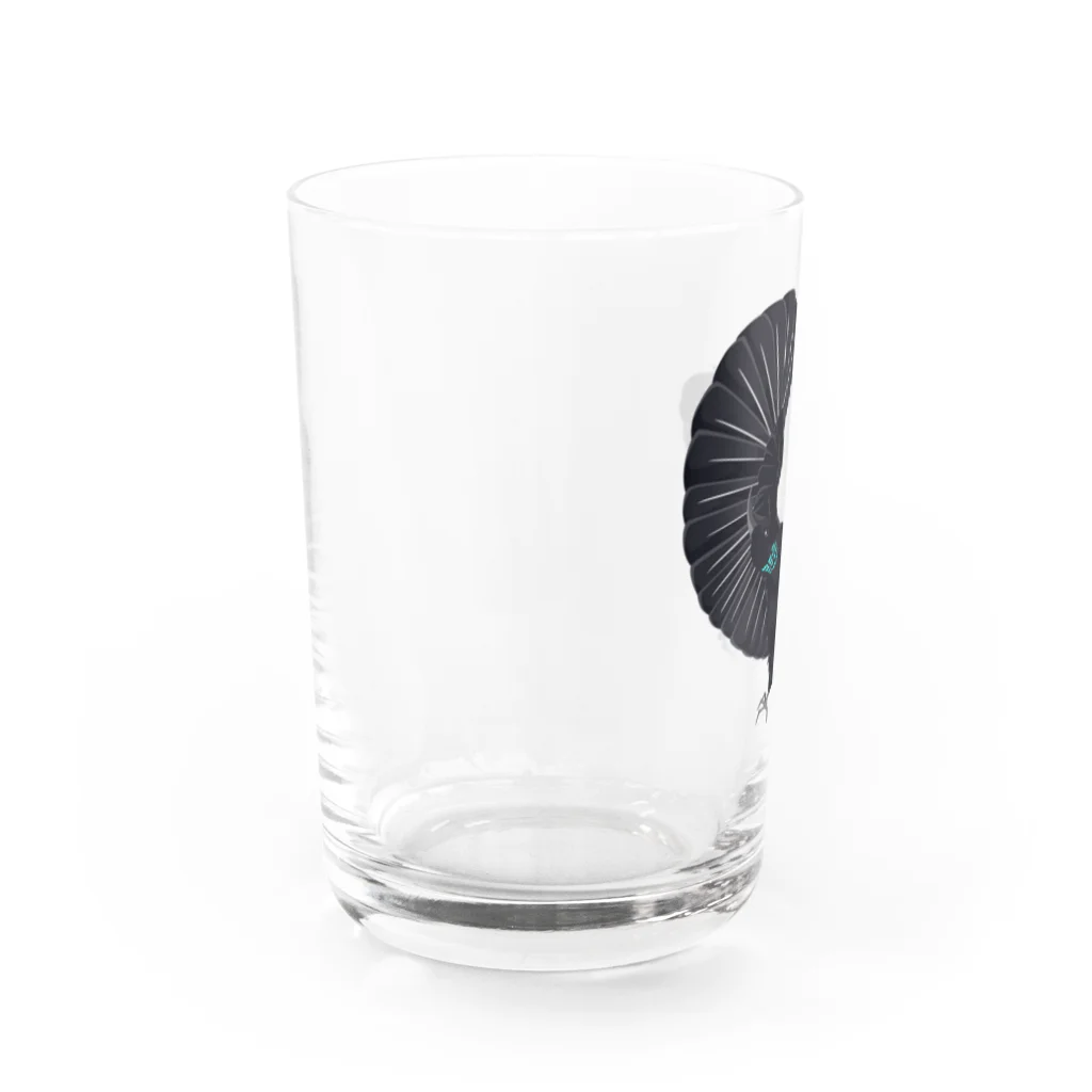 Generousのコウロコフウチョウ Water Glass :left