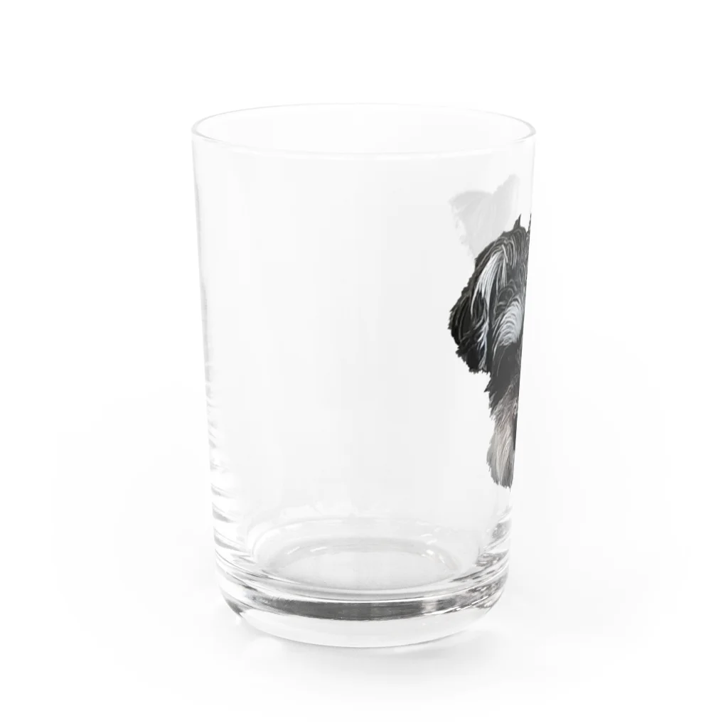 シュナ、すき？のSCHNA Water Glass :left