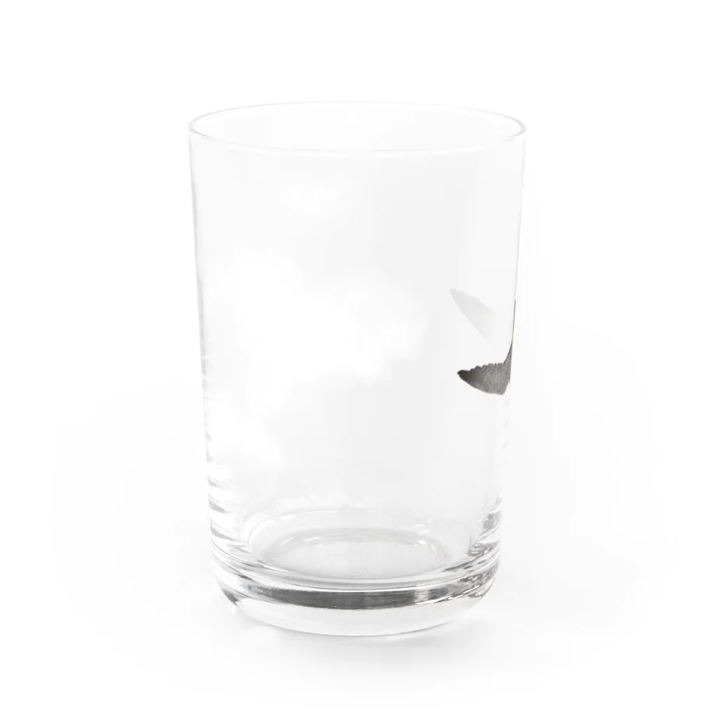 いもけんぴのハヤブサと綿雲 Water Glass :left