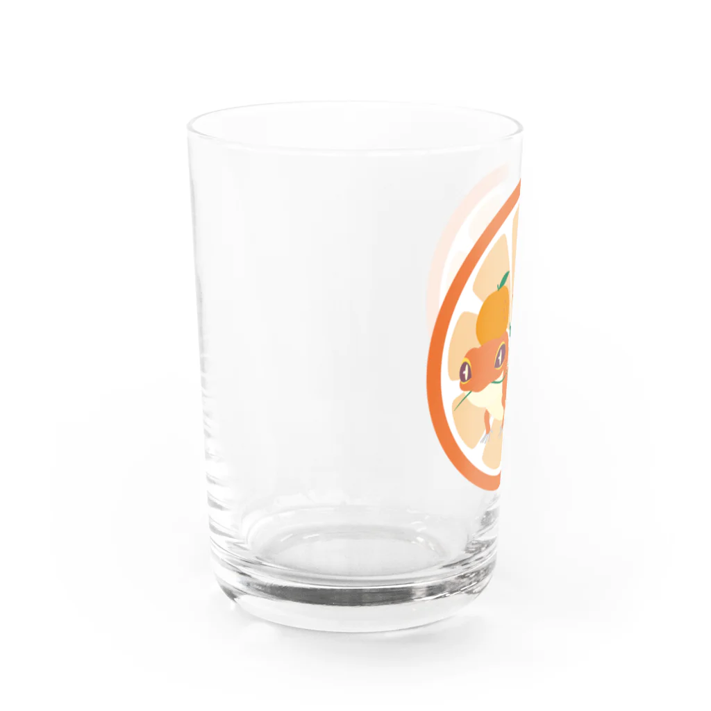 たづのレオパA Water Glass :left