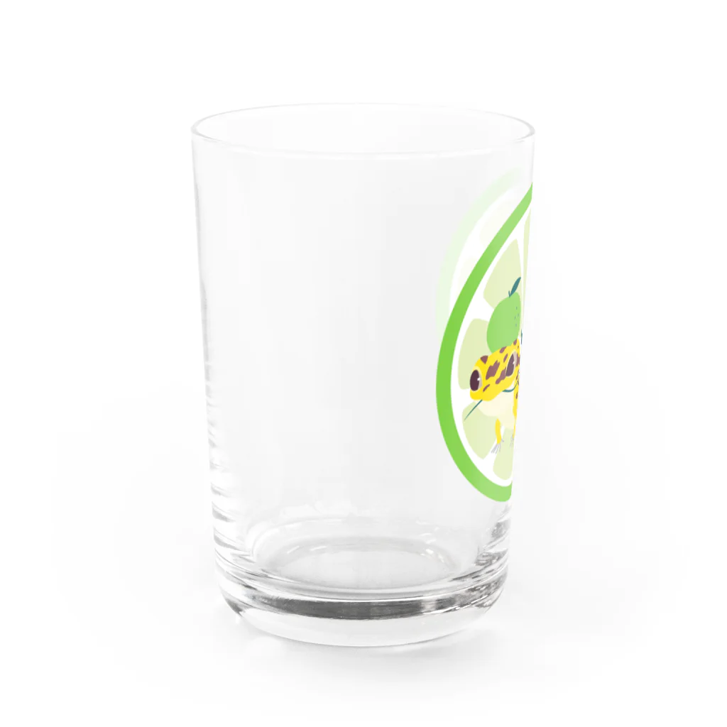 たづのレオパC Water Glass :left