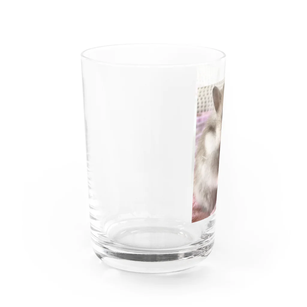 ショコランシーの食いしん坊ハム Water Glass :left