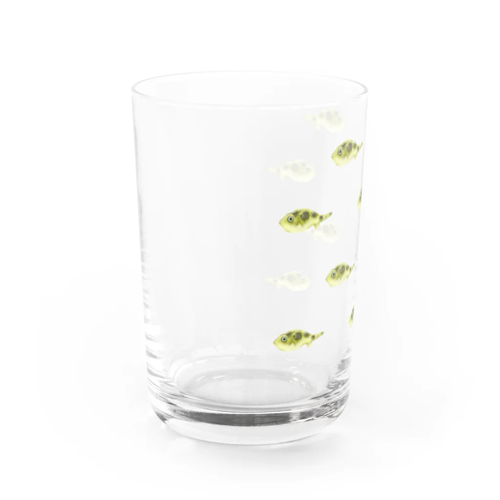 uovo  ウーヴォのアベニーパファー軍団 Water Glass :left