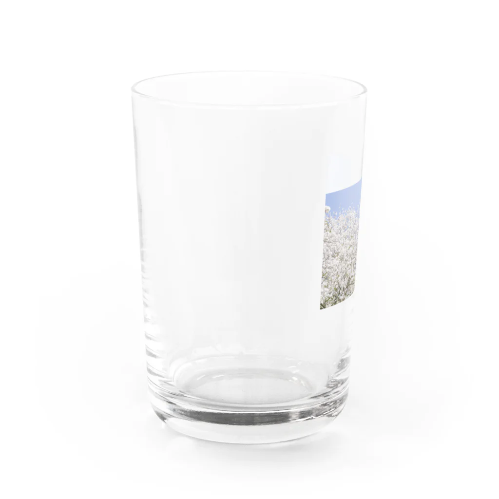 EMMAの桜 Water Glass :left