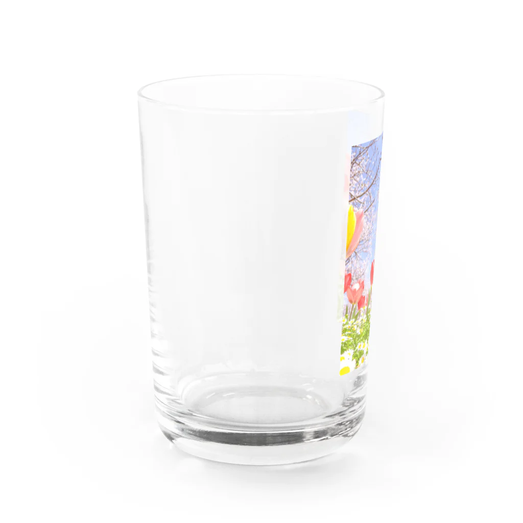 蛍石のI found the breath of spring in the park. Water Glass :left