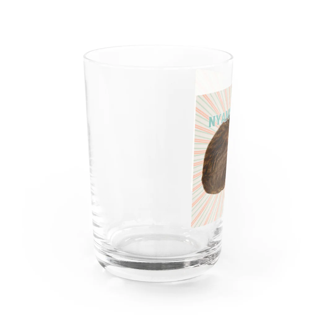 ボダコのレオの必殺モカの「ニャンモナイト」 Water Glass :left