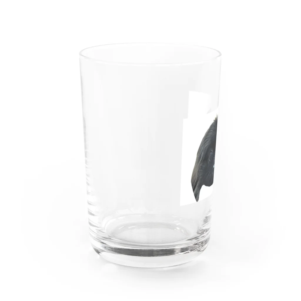 ぺきにーず姉妹のペキニーズ Water Glass :left